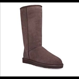 Chocolate Brown Uggs